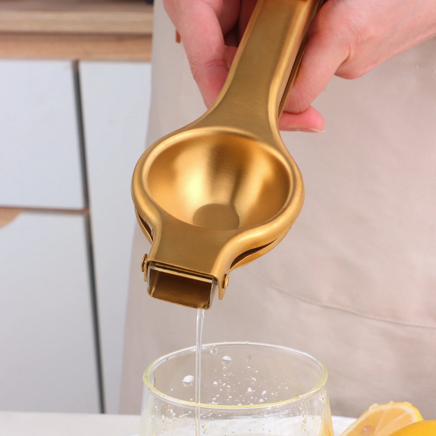 Stainless Steel Juicer