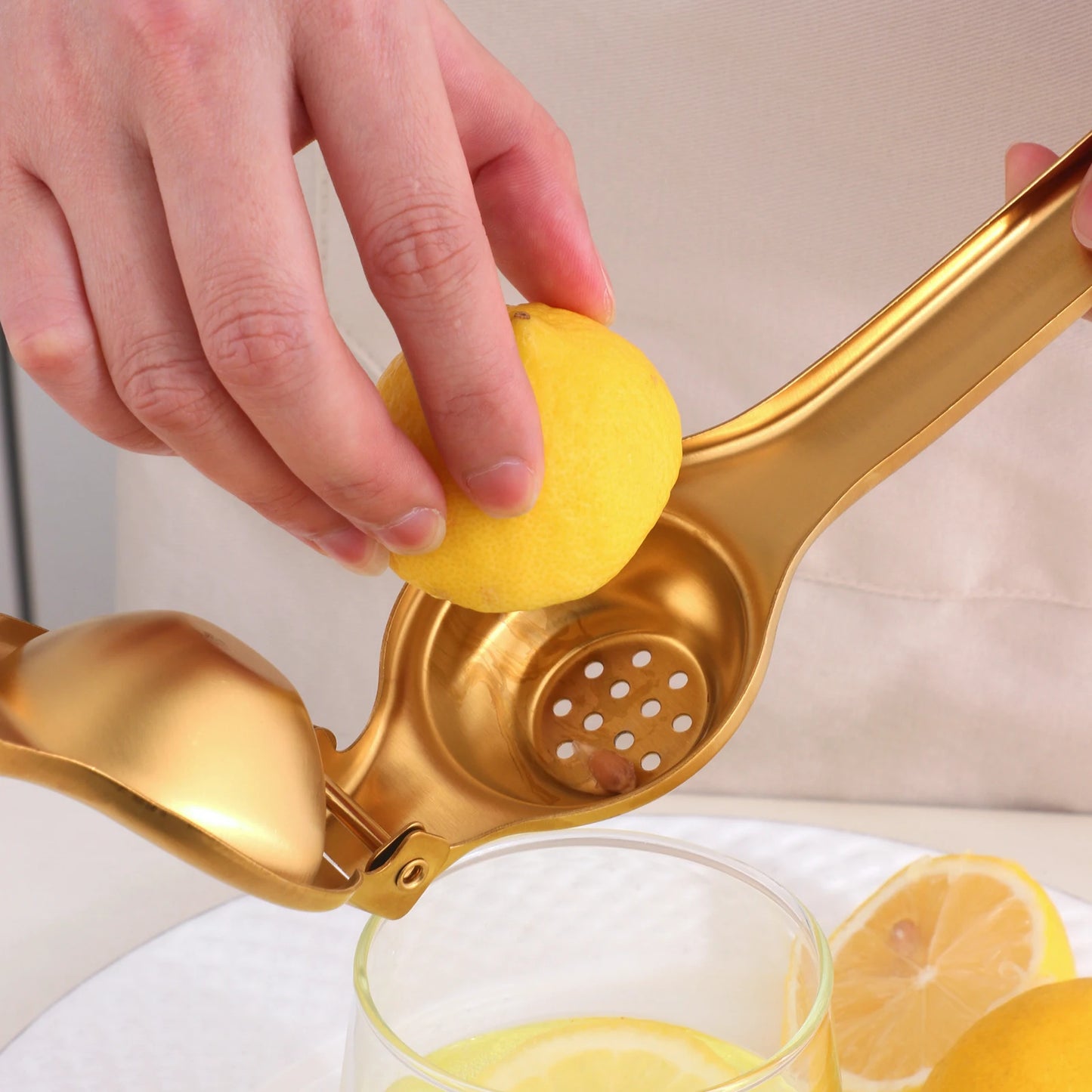 Stainless Steel Juicer