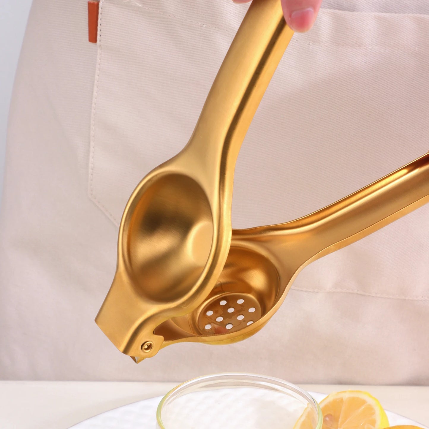 Stainless Steel Juicer