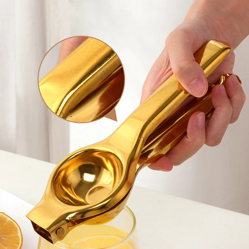 Stainless Steel Juicer