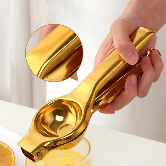 Stainless Steel Juicer